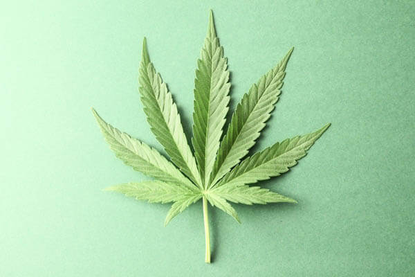 Virginia Legislature Moves To Decriminalize Marijuana Possession