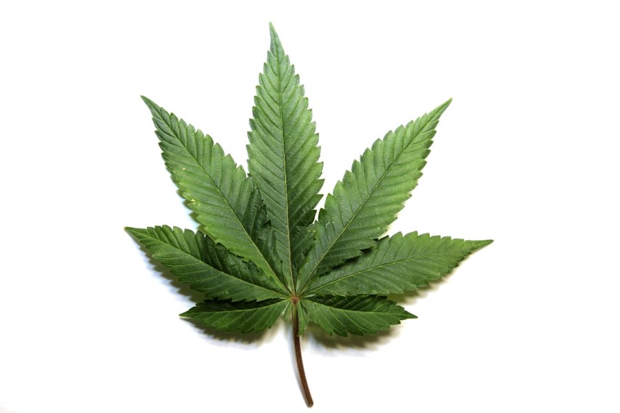 Update: Possession Of Marijuana A Civil Offense In Virginia